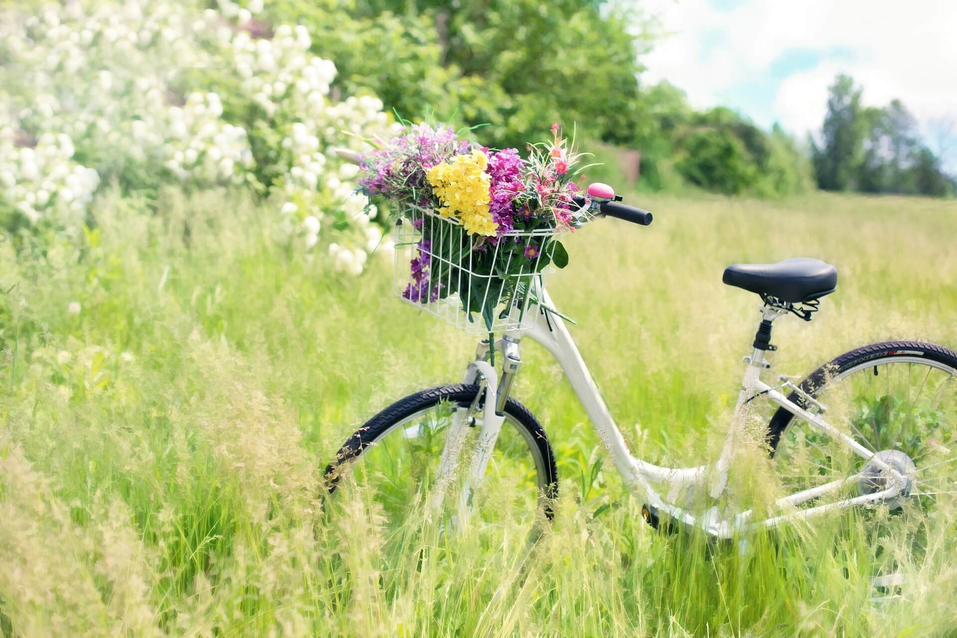 自転車と花束